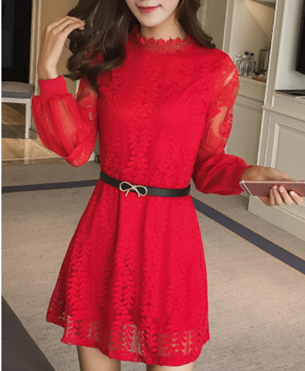 Long Sleeve Waist Fastening Dress