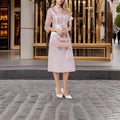 Plus Size Embroidered Evening Gown – New Spring & Autumn Elegant Mother’s Dress, Festive Wedding Banquet A-Line Formal Dress