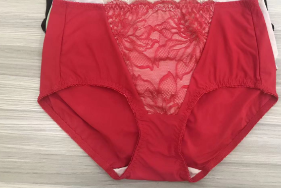Soft Lace Comfortable Full Coverage Panty