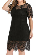 Women Plus Round Neck Short Sleeve Elegant V Backless Midi Party Dress