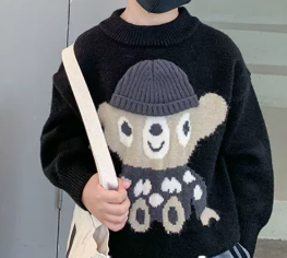 Boys Warm Pullover Sweater