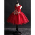 Kids Girls Flower Lace Decorated Ball Gown Dress