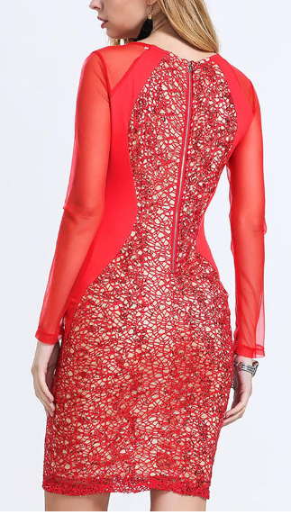 Women Sheer Sleeve Lace Sheath Dress