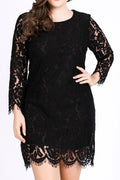 Women Fabulous Floral Lace Decorated Long Sleeve Round Neck Appealing Dress