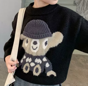 Boys Warm Pullover Sweater