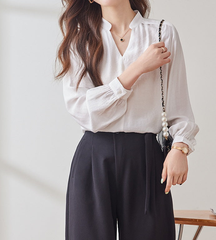 Women's V-Neck Spring & Autumn Casual High-End Plus Size Fashion Shirt