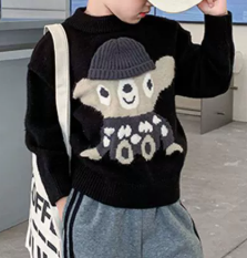 Boys Warm Pullover Sweater
