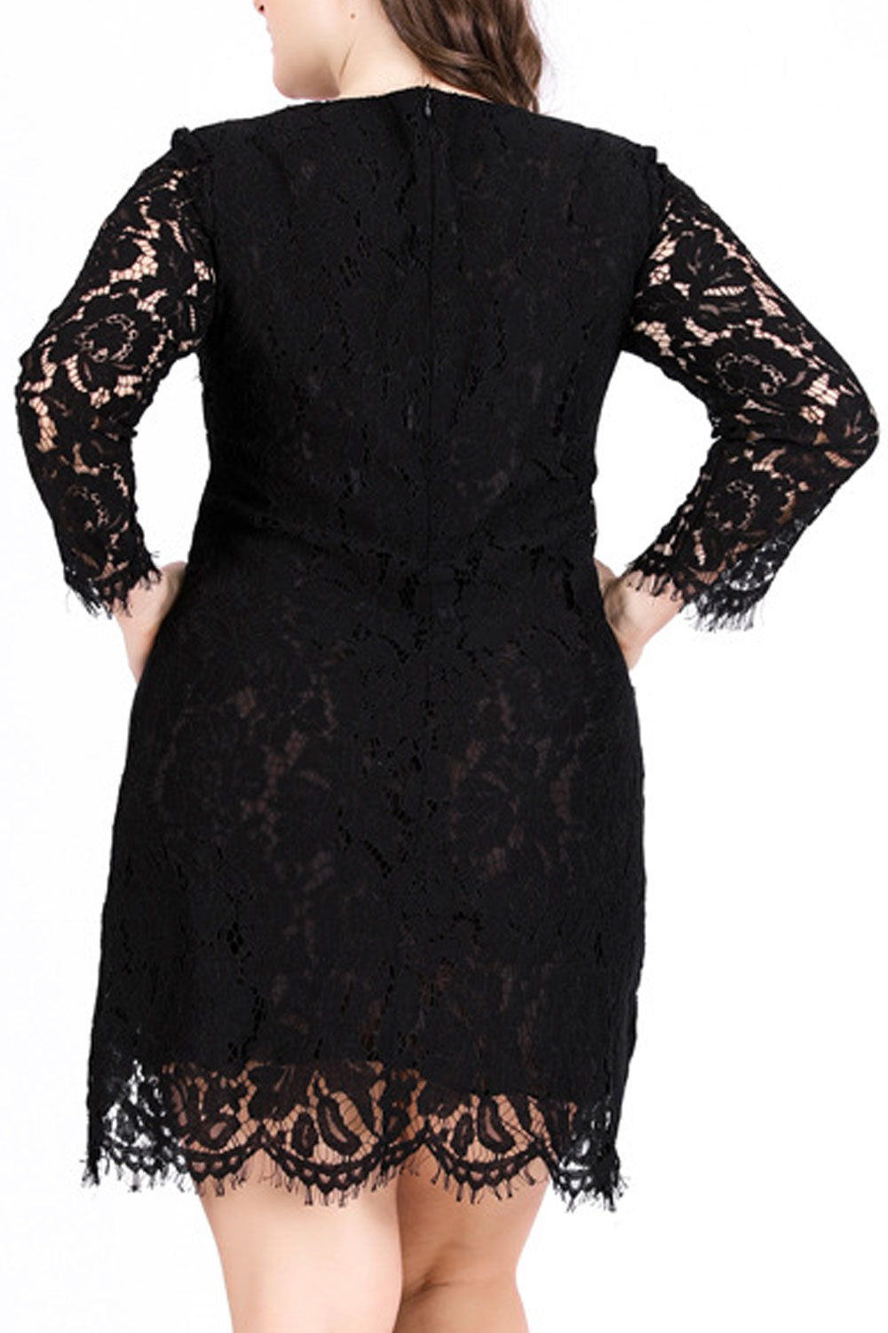 Women Fabulous Floral Lace Decorated Long Sleeve Round Neck Appealing Dress