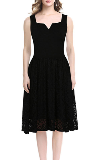 Graceful Pleated Sleeveless Lace Dress