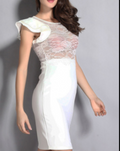 Graceful Pleated Sleeveless Lace Dress