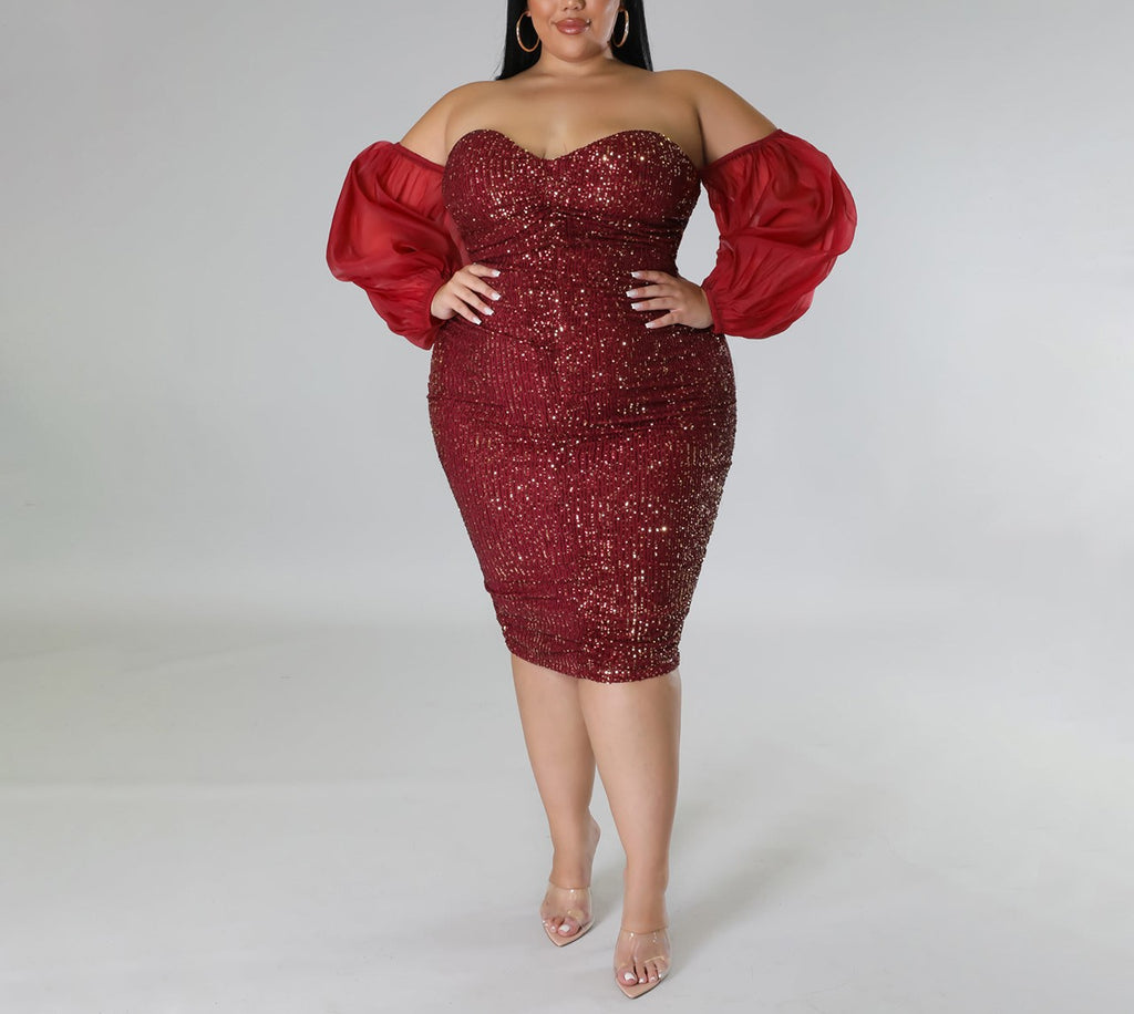 Sequin Tube Top Mesh Bodycon Dress – Solid Color Hot Girl Evening Party Skirt