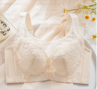 Lace Support Push Up Bra