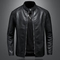 Men’s Stand Collar Slim Casual Leather Jacket