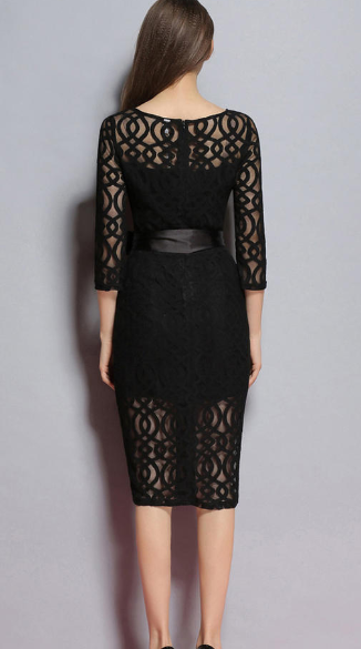 Women Long Sleeve Waist Tie Occasion Dress