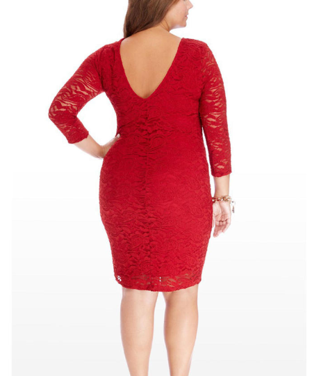 Women Plus Size Embroidered Lace Dress