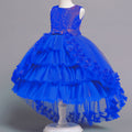 Girls Lace Tutu Princess Dress