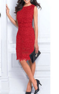 Women Round Neck Lace Dress