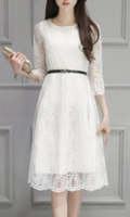 Women Fern Leaf Lace Party Dress
