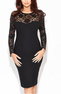 Women Crochet Lace Long Sleeve Pencil Dress
