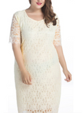 Elegant Comfort Plus Size Dress For Women