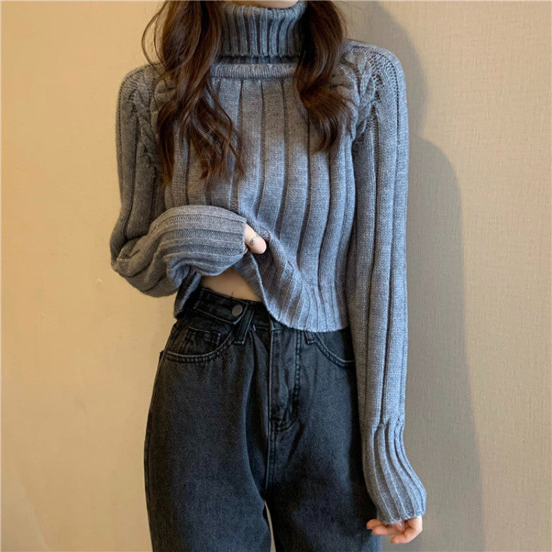 Women's Cardigan Pullover Sweater (108)