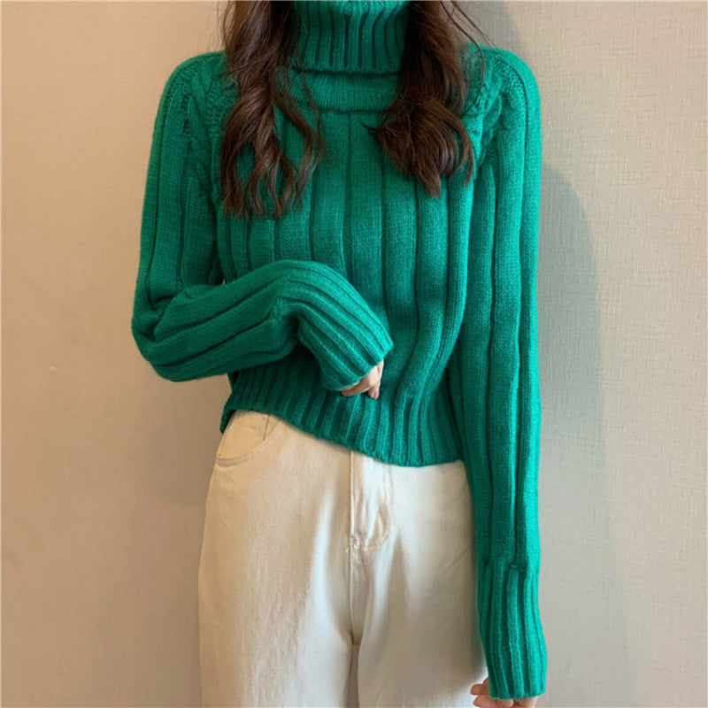 Women's Cardigan Pullover Sweater (108)