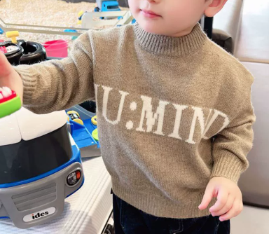 Boys Soft Knit Pullover Sweater