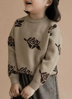 Girls Korean Style Pullover Knit Top