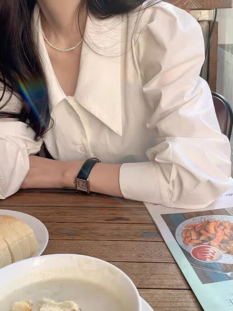 Niche Design Puff Sleeve Shirt - Chic Pointed Collar Top for Spring & Autumn