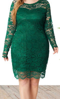 Plus Size Women's Knit Denim Dress (57)