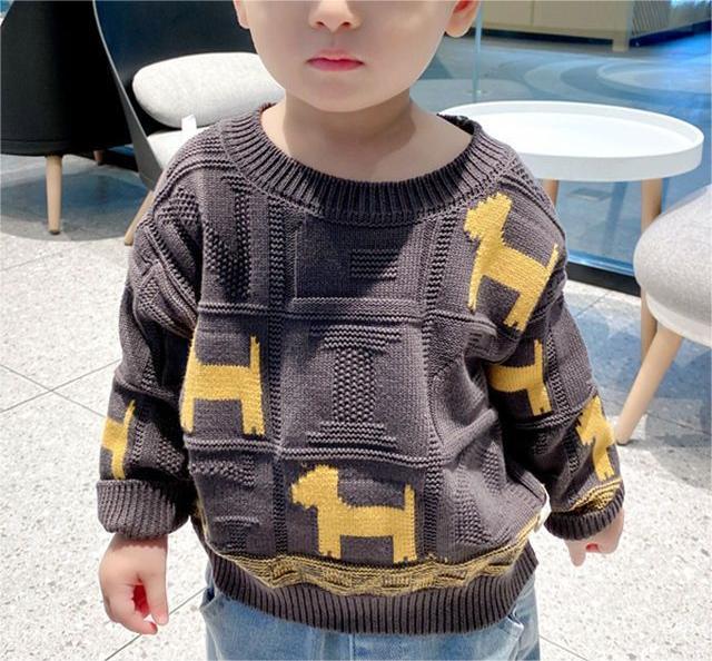 Soft Knit Jacquard Boys Pullover