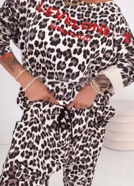 Women's Casual Leopard Print Two-Piece Commuter Outfit Set