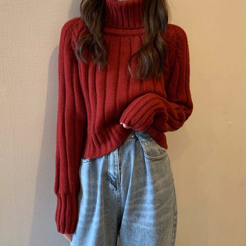 Women's Cardigan Pullover Sweater (108)