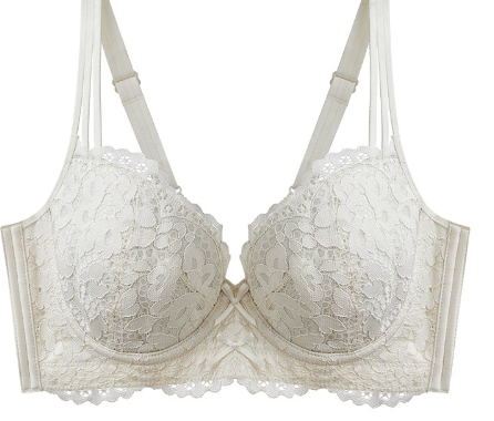 Women Support Lace Push Up Bra