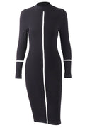 Women Slim Fit Long Sleeve Winter Season Solid Colored Elegant Dress