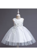 Kids Girls Elegant Sleeveless Round Neck Zipper Closure Tremendous Floral Lace Decorated Party Dress
