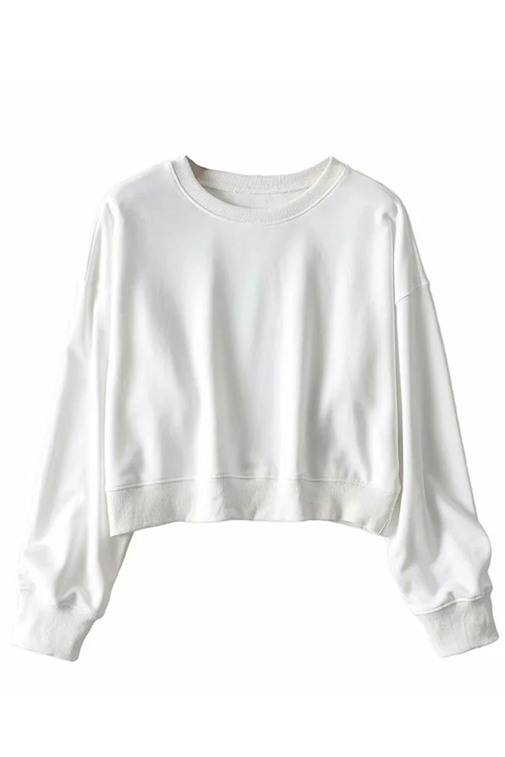 Women Decent Warm Solid Colored Elasticated Hem & Cuff Superb Loose Breathable Casual Sweatshirt