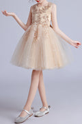 Kids Girls Easy Round Neck Beautiful Lace Pattern Sleeveless Fluffy Mesh Fancy Dress