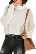 Women Amazing Solid Colored Restful Turtle Neck Long Sleeve Short Pullover Sweater