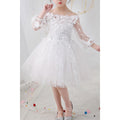 Kids Girls Fluffy Skirt Solid Colored Lace Embroidered Beautiful Dress