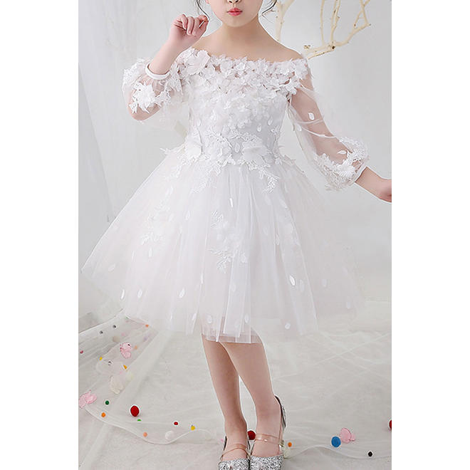Kids Girls Fluffy Skirt Solid Colored Lace Embroidered Beautiful Dress