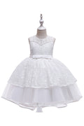 Kids Girls Lace Embroidery Sleeveless Solid Colored Puff Skirt Beautiful Dress