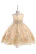 Kids Girls Splendid Sleeveless Round Neck Easily Wearable Emboridered Pattern Dress