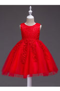 Kids Girls Round Neck Flowers Lace Dress