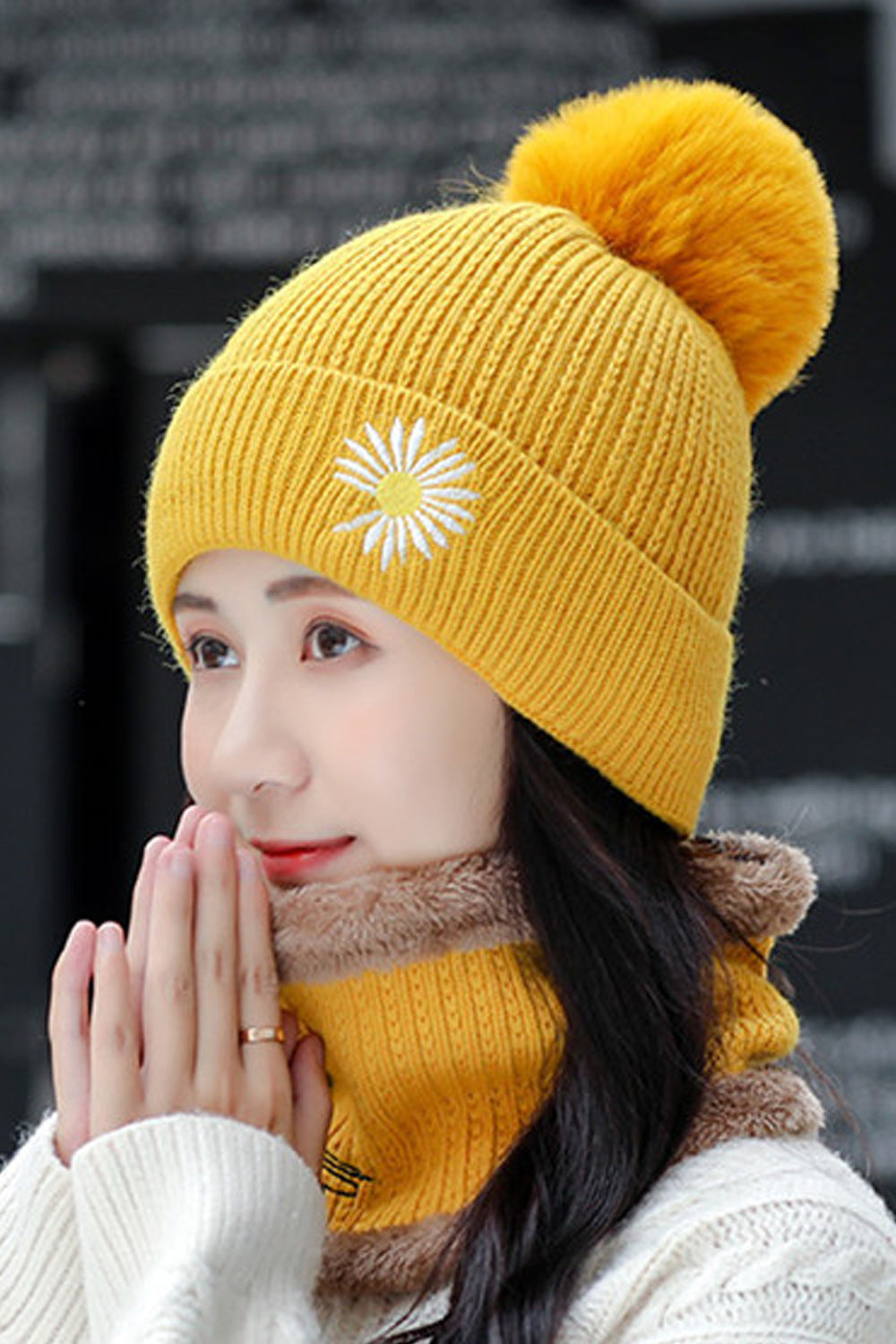 Women Decent Styled Casual Warm Lovely Knitted Hat