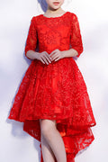 Kids Girls Lace Decorated Shiny Fancy Dress