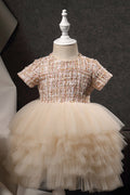 Kids Girls Small Sleeve Birthday Party Dress