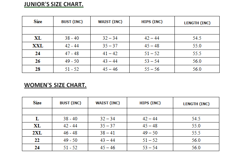 Women Plus Printed Chiffon Long Summer Dress