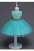 Kids Girls Sequin Waist Band Elegant Dress