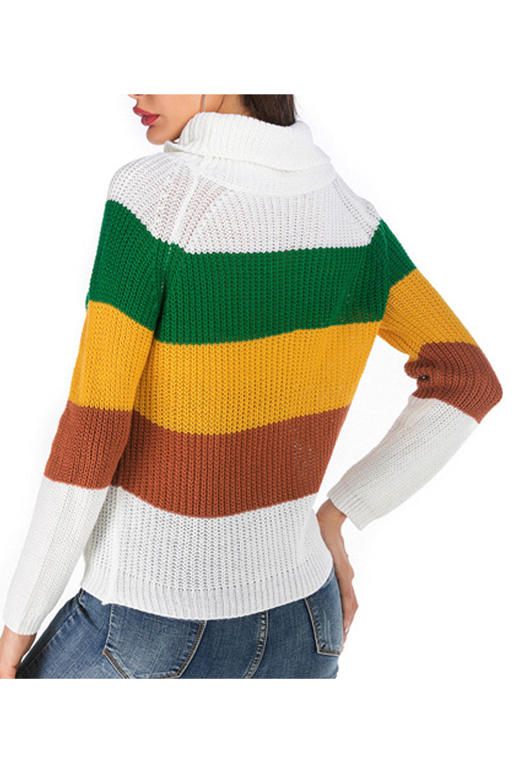 Women Sophisticated Printed Pattern Relaxed Fit Long Sleeve Warm Turtle Neck Casual Sweater